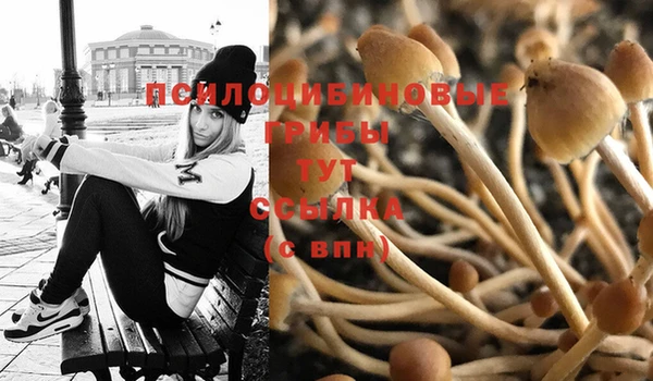 MESCALINE Вязьма
