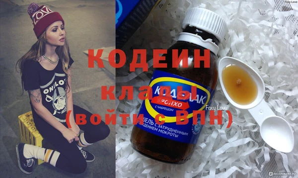 ешки Вяземский