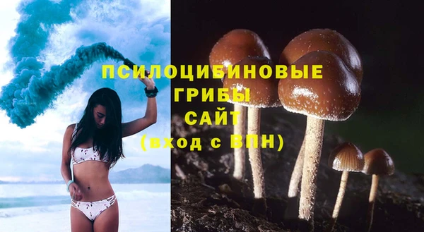 ешки Вяземский