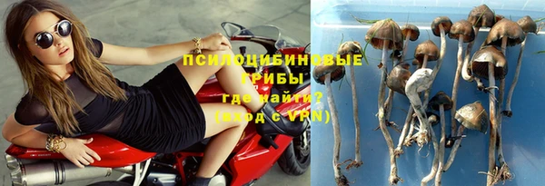 ешки Вяземский