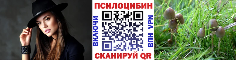 Псилоцибиновые грибы Psilocybine cubensis  нарко площадка наркотические препараты  Любань 