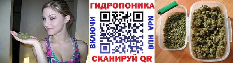 хочу наркоту  Любань  Конопля VHQ 